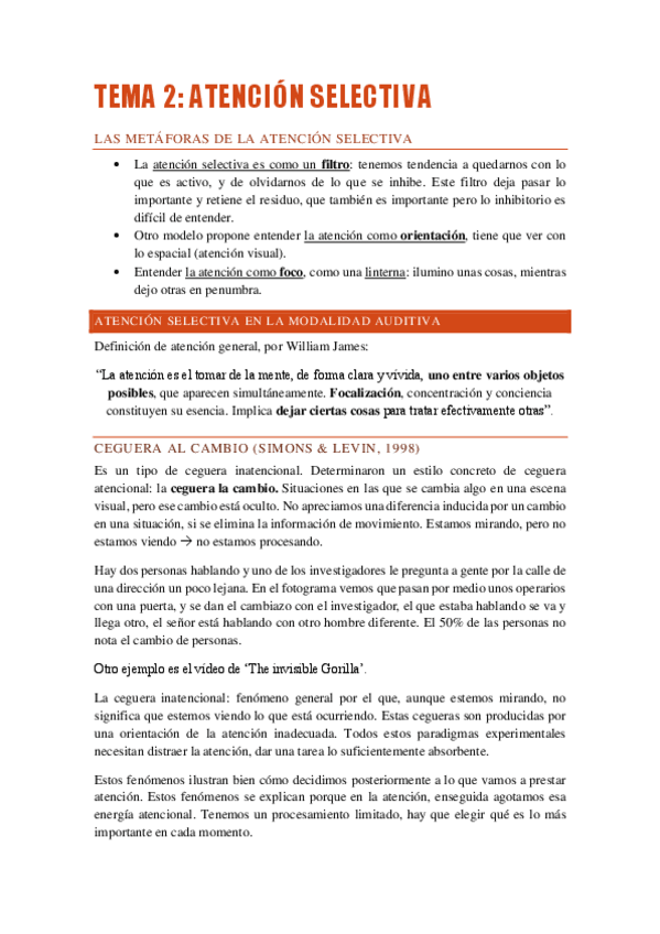 Miniatura del documento Teoria-Atencion-Susana-Completos.pdf