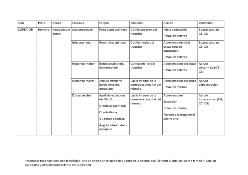 Miniatura del documento MUSCULATURA-HOMBRO-BRAZO-ANTEBRAZO.pdf
