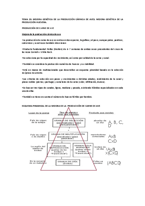 Miniatura del documento Tema-20.pdf