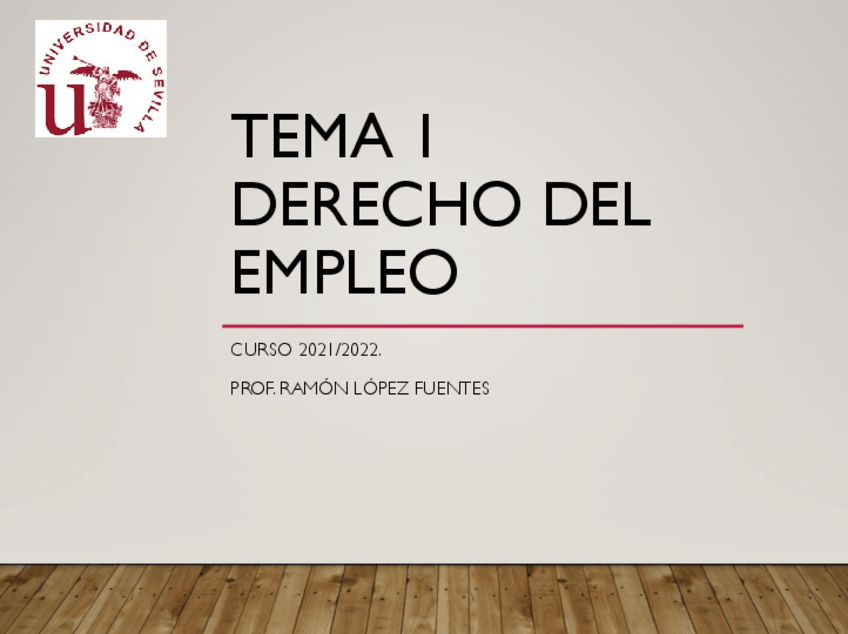 Miniatura del documento diapos-DEMPLEO-TEMA-12023.pdf