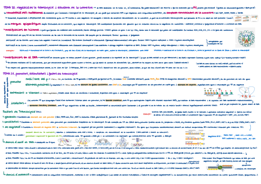 Miniatura del documento resum-esquema-bloc-7.pdf