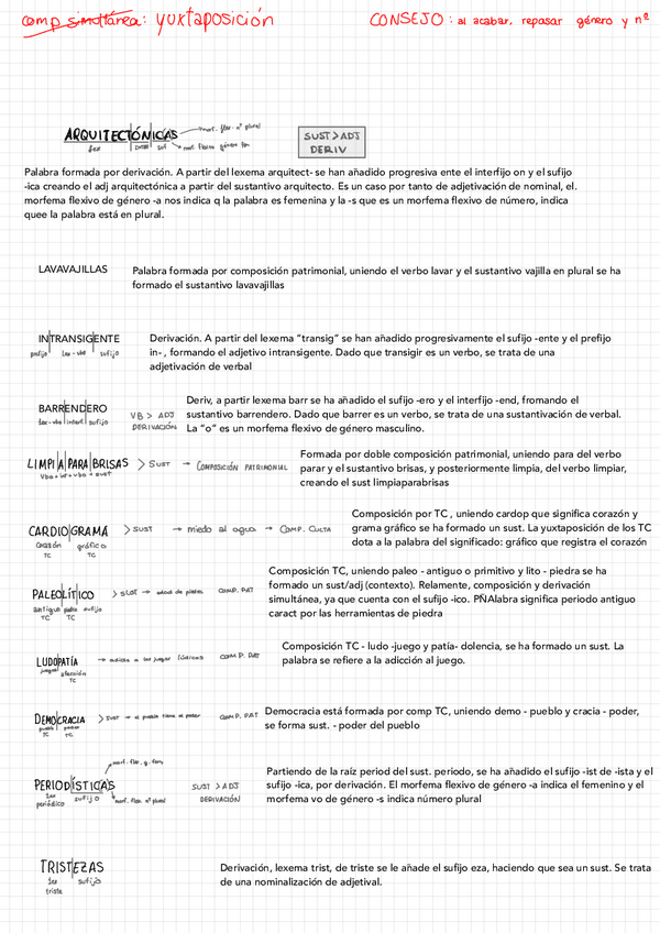 Miniatura del documento ejercicios-morfologia.pdf