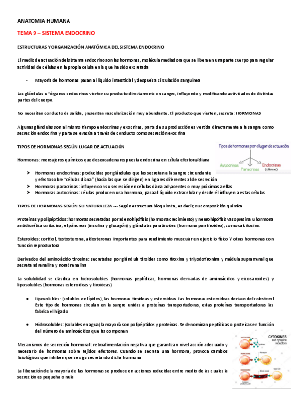 Miniatura del documento ANATOMIA-HUMANA-TEMA-9.pdf