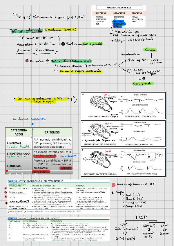 Miniatura del documento Evaluacion-gestacional.pdf