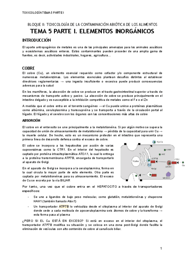 Miniatura del documento TEMA-5-P1.pdf