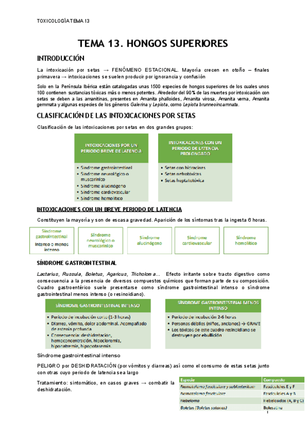 Miniatura del documento TEMA-13.pdf
