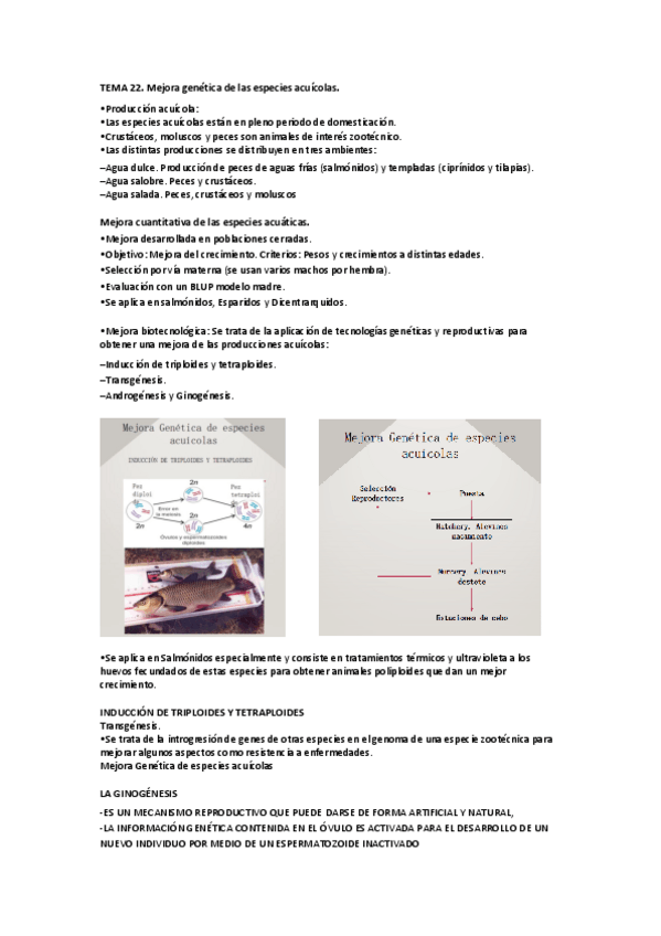 Miniatura del documento Tema-22.pdf