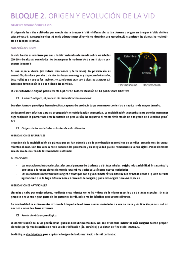 Miniatura del documento Resumen-Bloque-2.pdf