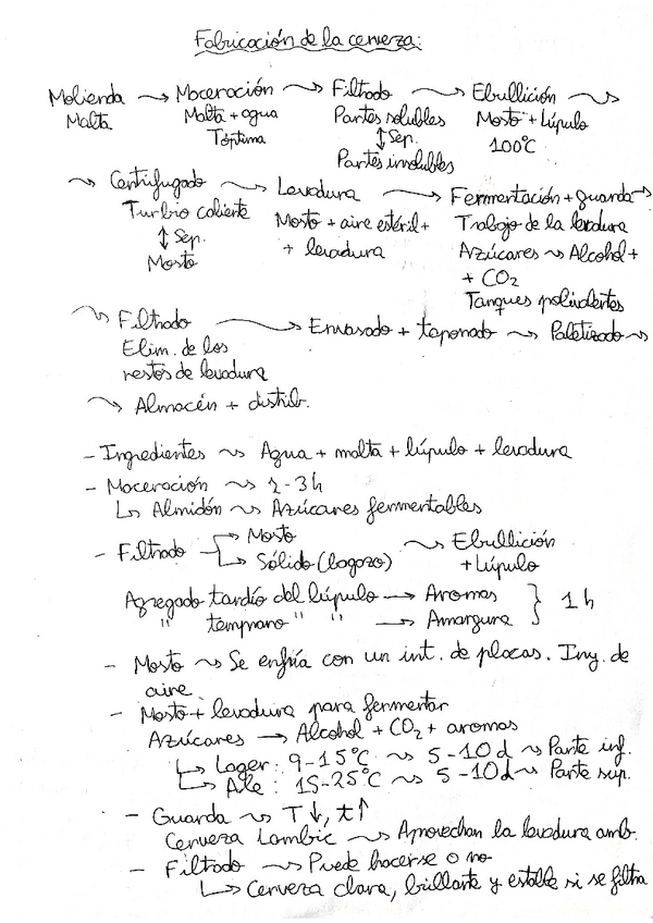Miniatura del documento Fabricacion-de-la-cerveza-proceso-del-trabajo.pdf
