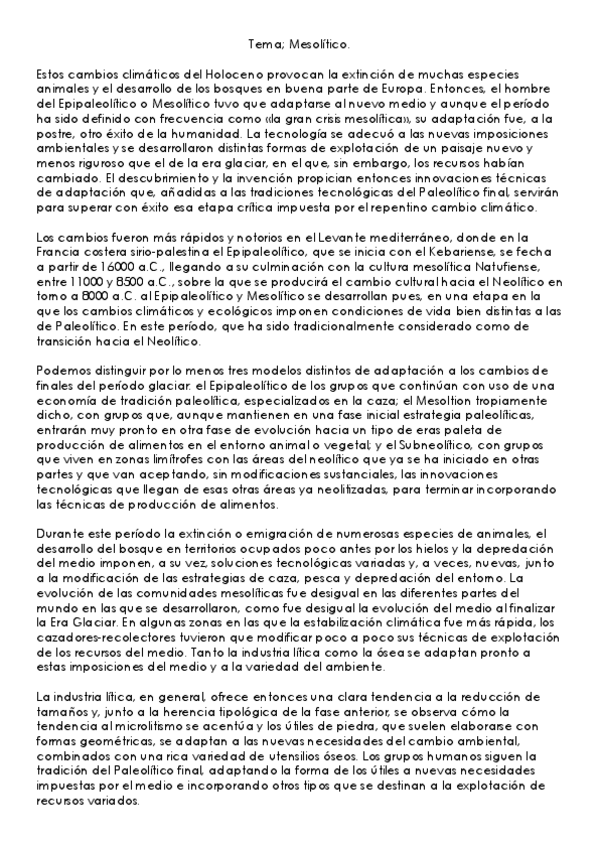 Miniatura del documento TEMA-MESOLITICO.pdf