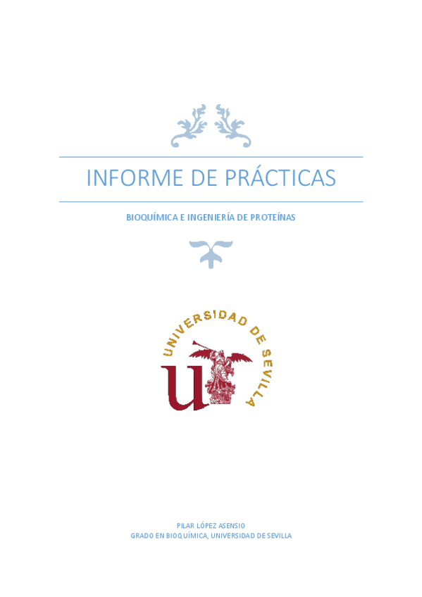 Miniatura del documento PRACTICASINFORMEINGPROT.pdf