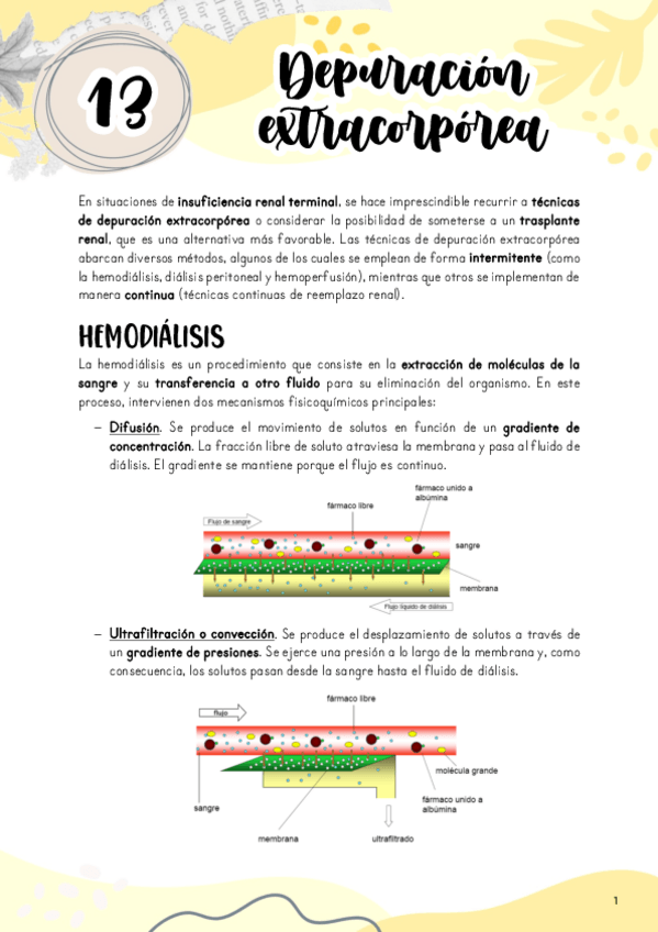 Miniatura del documento Tema-13.-Tecnicas-de-depuracion-extracorporea.pdf