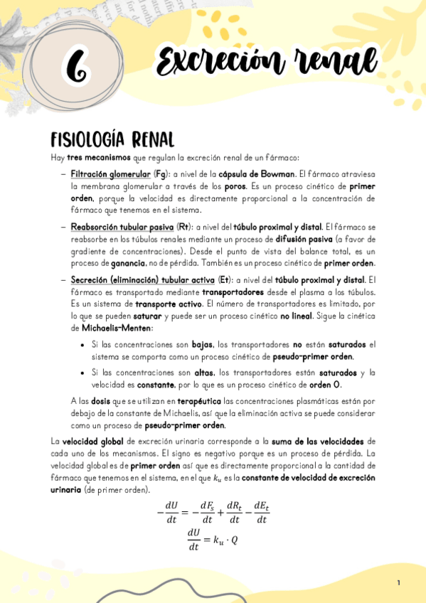 Miniatura del documento Tema-6.-Excrecion-renal.pdf