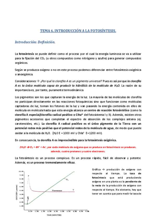 Miniatura del documento Tema 6. Introducción fotosíntesis..pdf