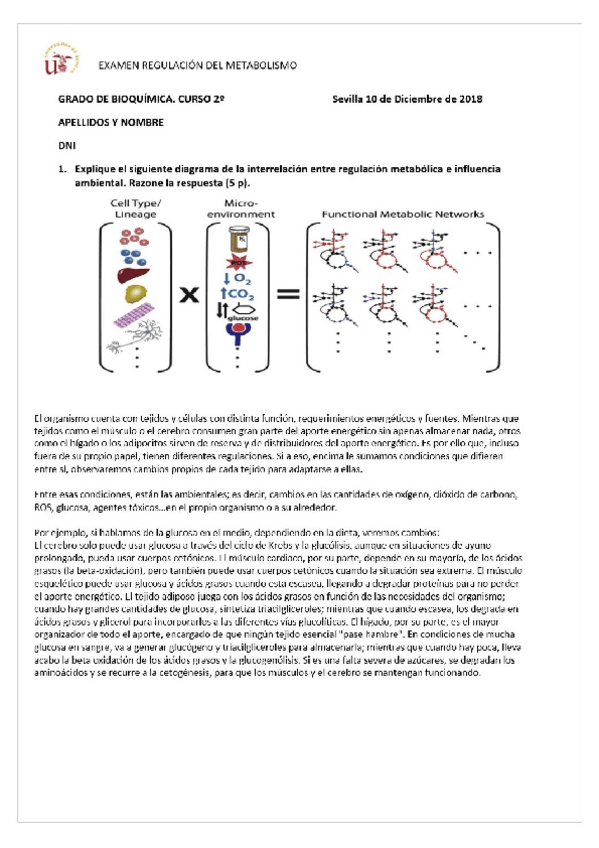 Miniatura del documento Ex-dic-2018-metabolismo.pdf