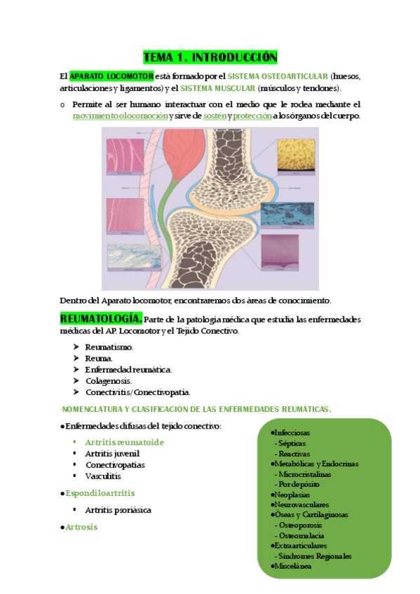 Miniatura del documento TEMA-1.-INTRODUCCION.pdf