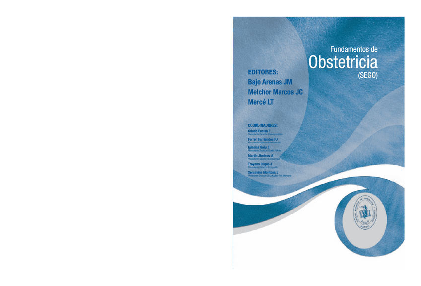 Miniatura del documento LIBRO-DE-GINECOLOGIA-Y-OBSTRETICIA-2.pdf