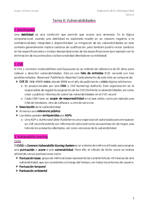 Miniatura del documento Tema-6-Vulnerabilidades.pdf