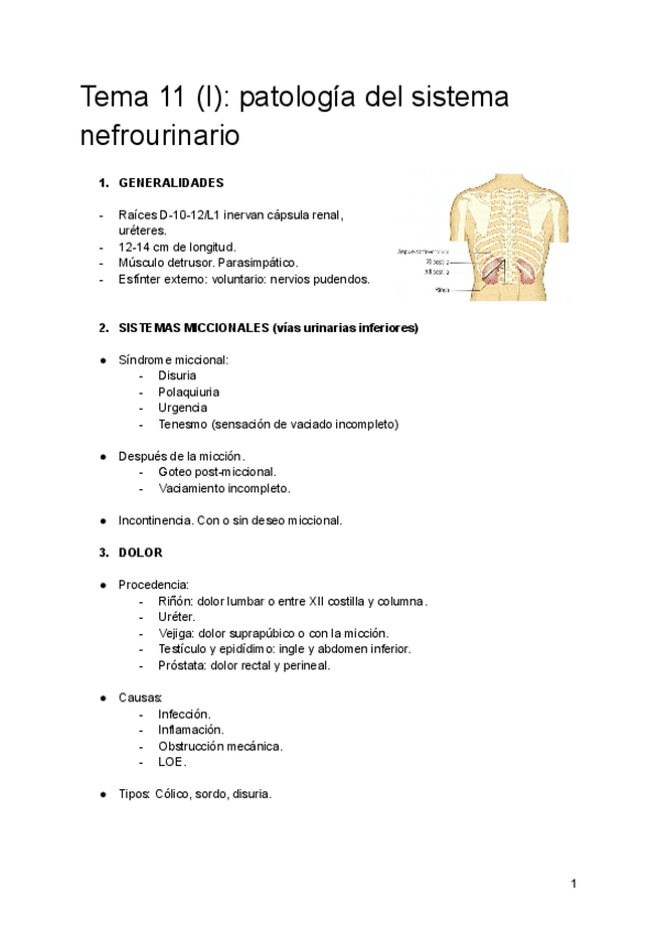 Miniatura del documento TEMA-11-patologia-general-DIMEDICI.pdf