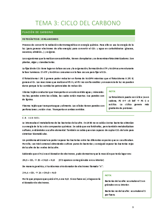 Miniatura del documento Tema-3-Ciclo-del-carbono.pdf