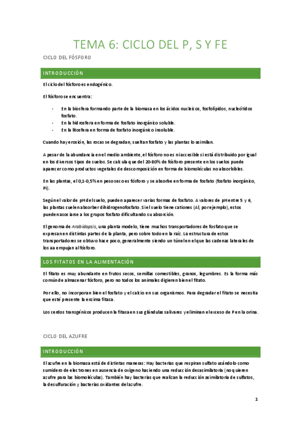 Miniatura del documento Tema-6-Ciclo-del-P-S-y-Fe.pdf