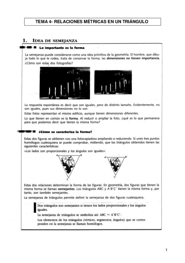 Miniatura del documento TEMA-4.pdf