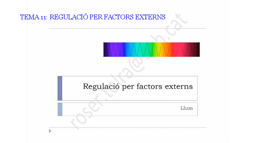 Miniatura del documento APUNTS-2N-PARCIAL-FISIO-VEGETAL-II.pdf