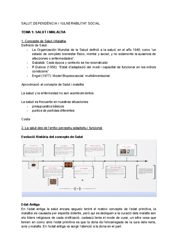 Miniatura del documento Teoria-Salut-Dependencia-i-Vulnerabilitat-social-1.pdf