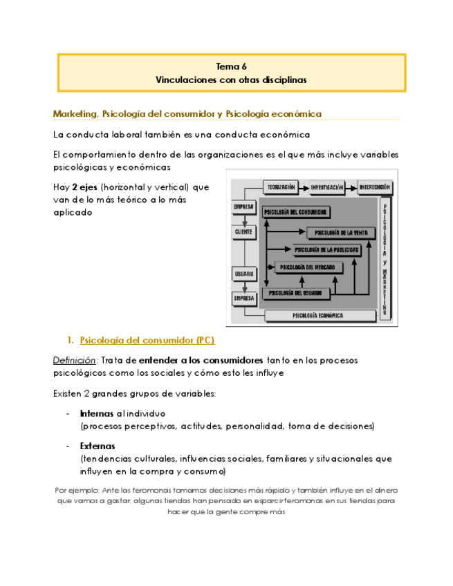 Miniatura del documento Tema-6-Vinculaciones-con-otras-disciplinas-Psicologia-Economica-y-del-Consumidor.pdf