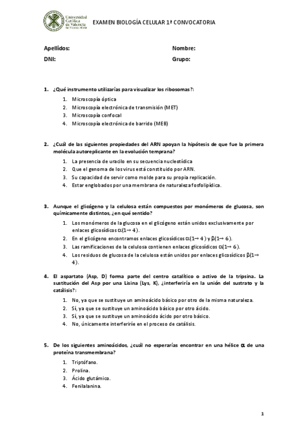 Miniatura del documento 2024.pdf