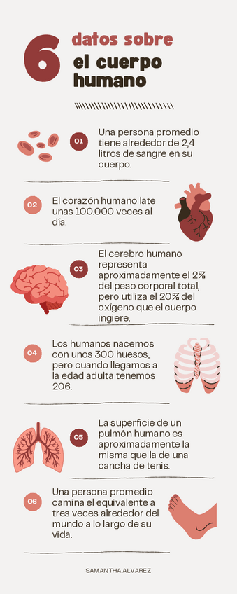 Miniatura del documento DATOS-SOBRE-EL-CUERPO-HUMANO.pdf