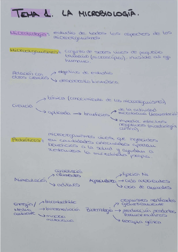 Miniatura del documento RESUMENES TEMAS 1-15 (1erCUATRI).pdf