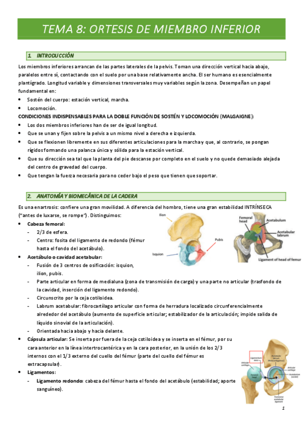 Miniatura del documento TEMA-8.pdf