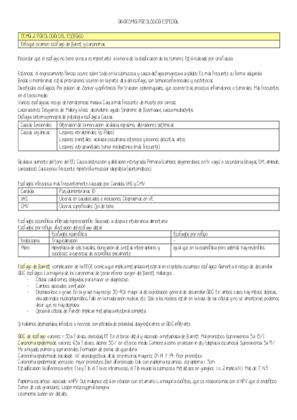 Miniatura del documento Resumen-APE-Digestivo-cabeza-y-cuello-y-mama.pdf