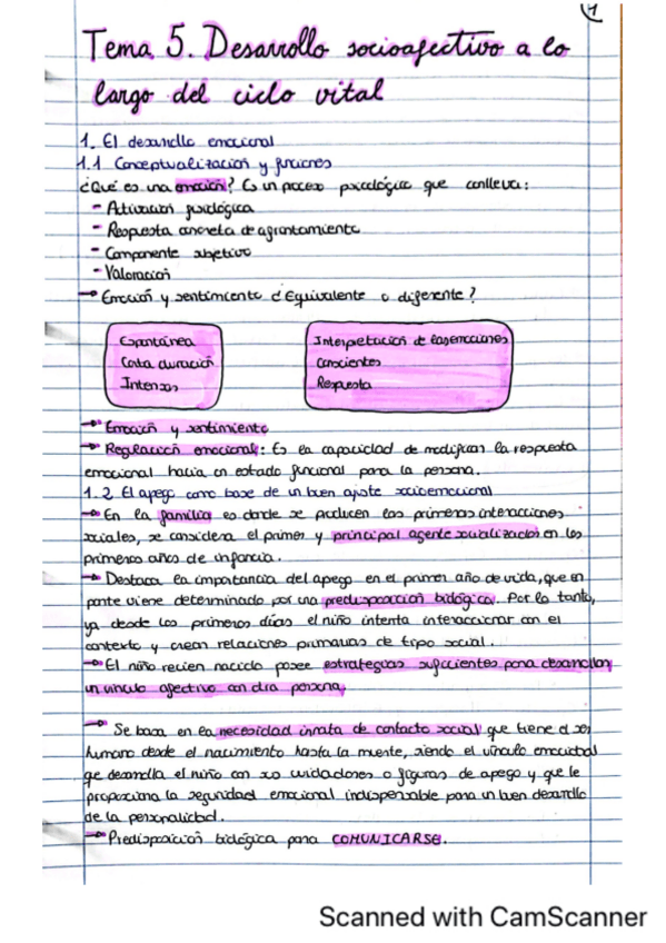 Miniatura del documento tema-5 psicología del desarrollo.pdf