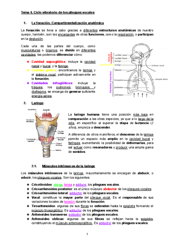 Miniatura del documento 4-cicle-vibratori-plecs-vocals.pdf