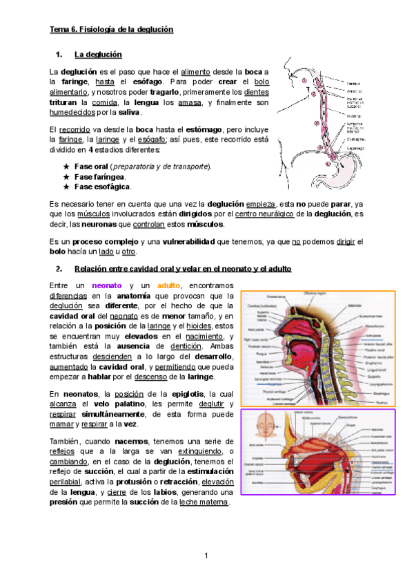 Miniatura del documento 6-Fisiologia-de-la-deglucion.pdf