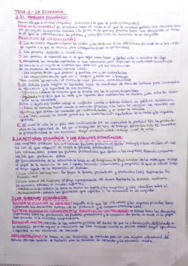 Miniatura del documento Teoria-primera-parte-EE-comprimida.pdf