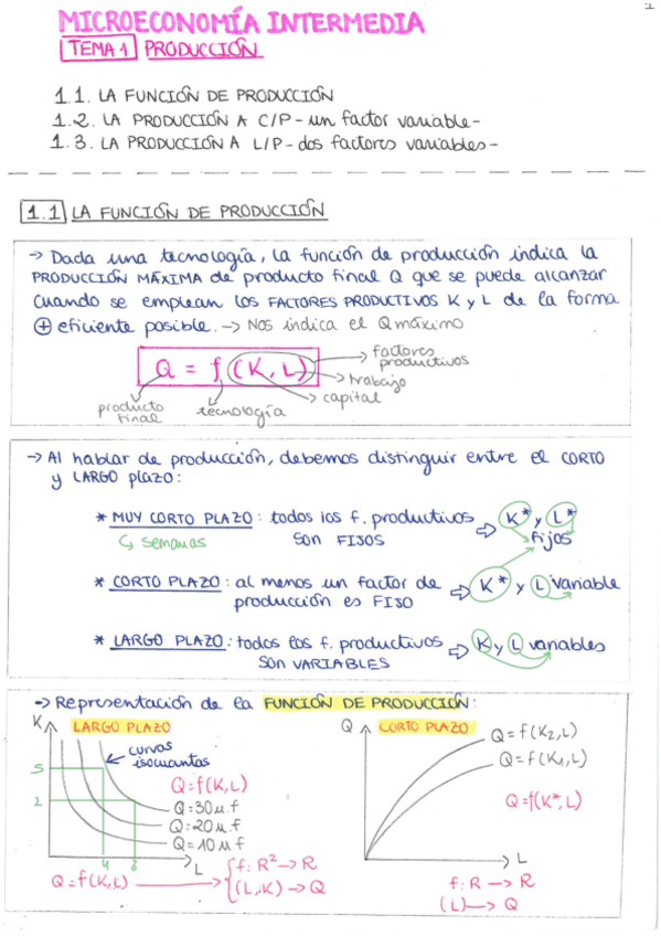 Miniatura del documento Teoria-micro.pdf