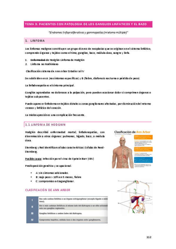 Miniatura del documento TEMA-3.3.pdf