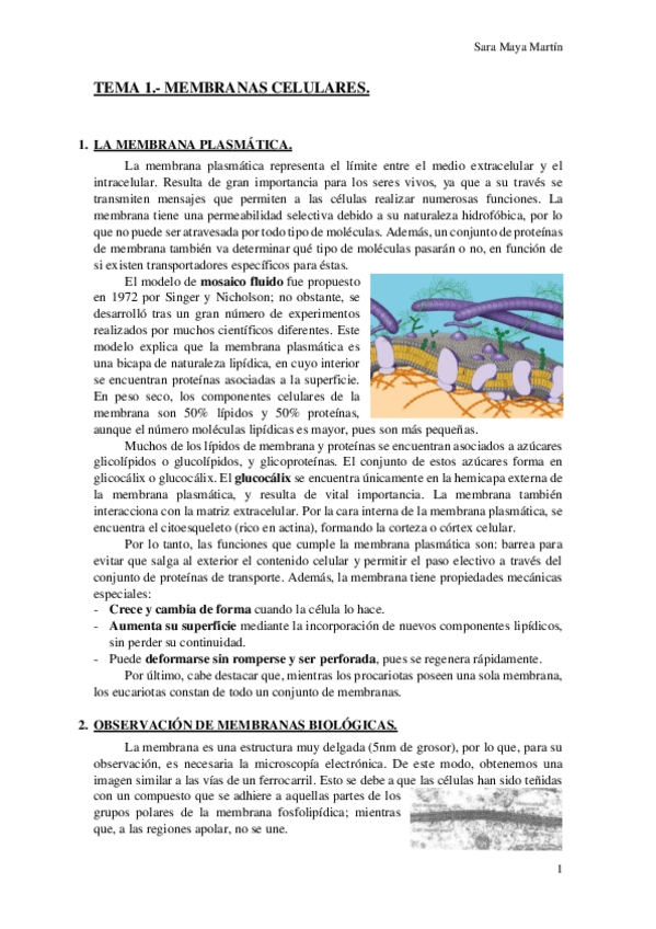 Miniatura del documento TEMA 1.- MEMBRANAS CELULARES.pdf