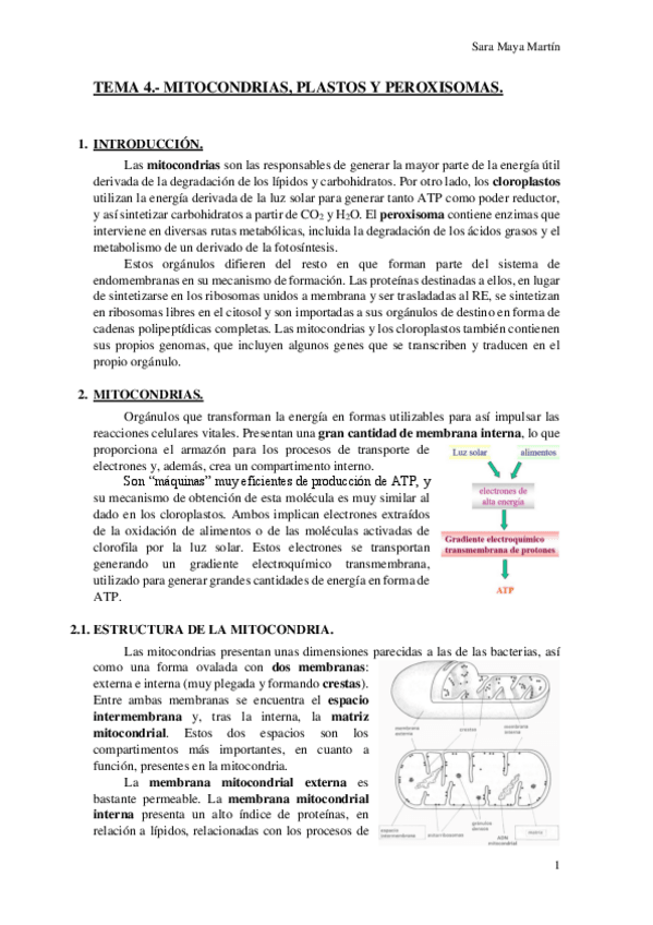 Miniatura del documento TEMA 4.- MITOCONDRIAS- PLASTOS Y PEROXISOMAS.pdf