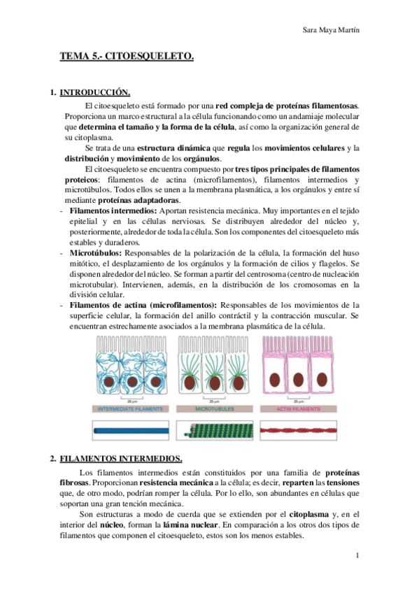 Miniatura del documento TEMA 5.- CITOESQUELETO.pdf