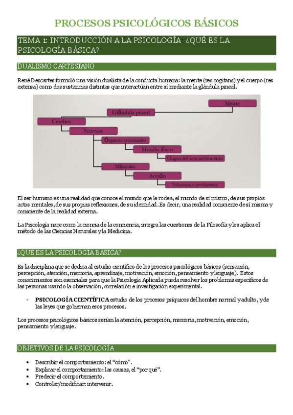 Miniatura del documento TODO-TEMARIO-Procesos-psicologicos-basicos.pdf