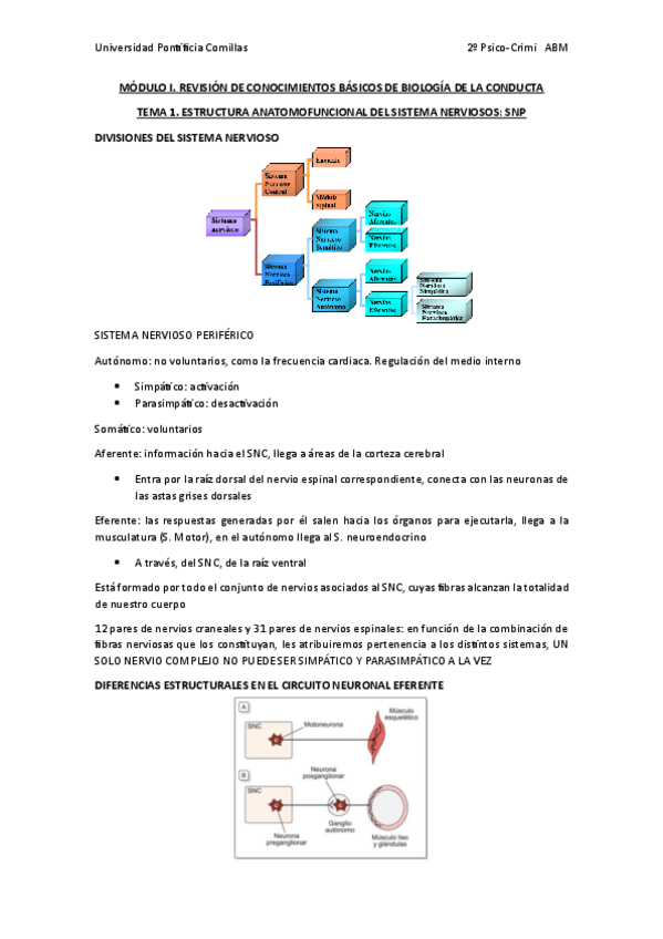 Miniatura del documento 1.-MODULO-I-REVISION-CONOCIMIENTOS-BASICOS.pdf