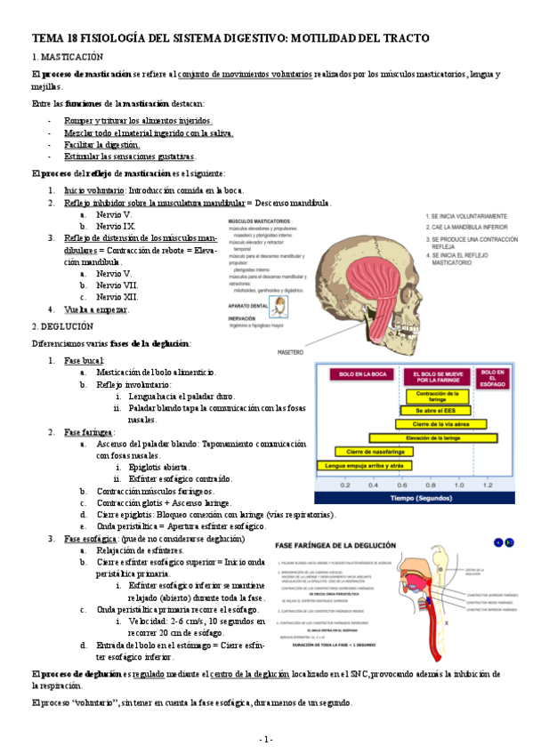 Miniatura del documento FISIOLOGIA-II-TEMA-18-FISIOLOGIA-DEL-SISTEMA-DIGESTIVO-MOTILIDAD-DEL-TRACTO.pdf