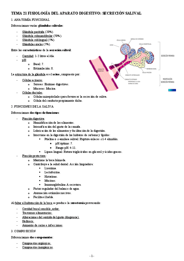 Miniatura del documento FISIOLOGIA-II-TEMA-21-FISIOLOGIA-DEL-APARATO-DIGESTIVO-SECRECION-SALIVAL.pdf