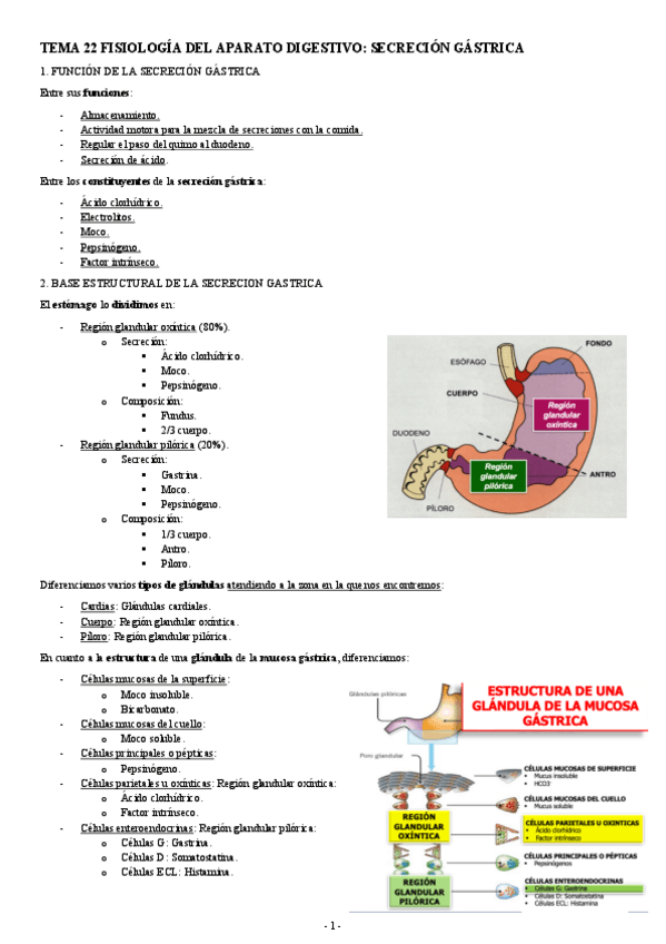 Miniatura del documento FISIOLOGIA-II-TEMA-22-FISIOLOGIA-DEL-APARATO-DIGESTIVO-SECRECION-GASTRICA.pdf