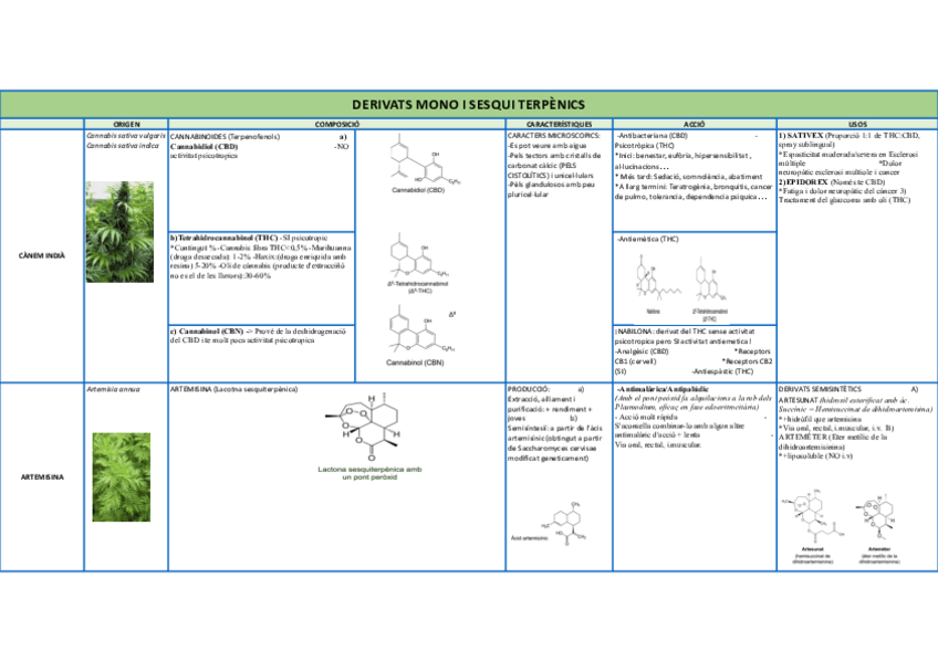 Miniatura del documento QUADRES-BLOC-4-.xlsx-CANNABISARTEMISINA.pdf