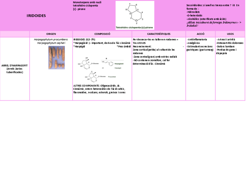 Miniatura del documento QUADRES-BLOC-4-.xlsx-IRIDOIDES.pdf